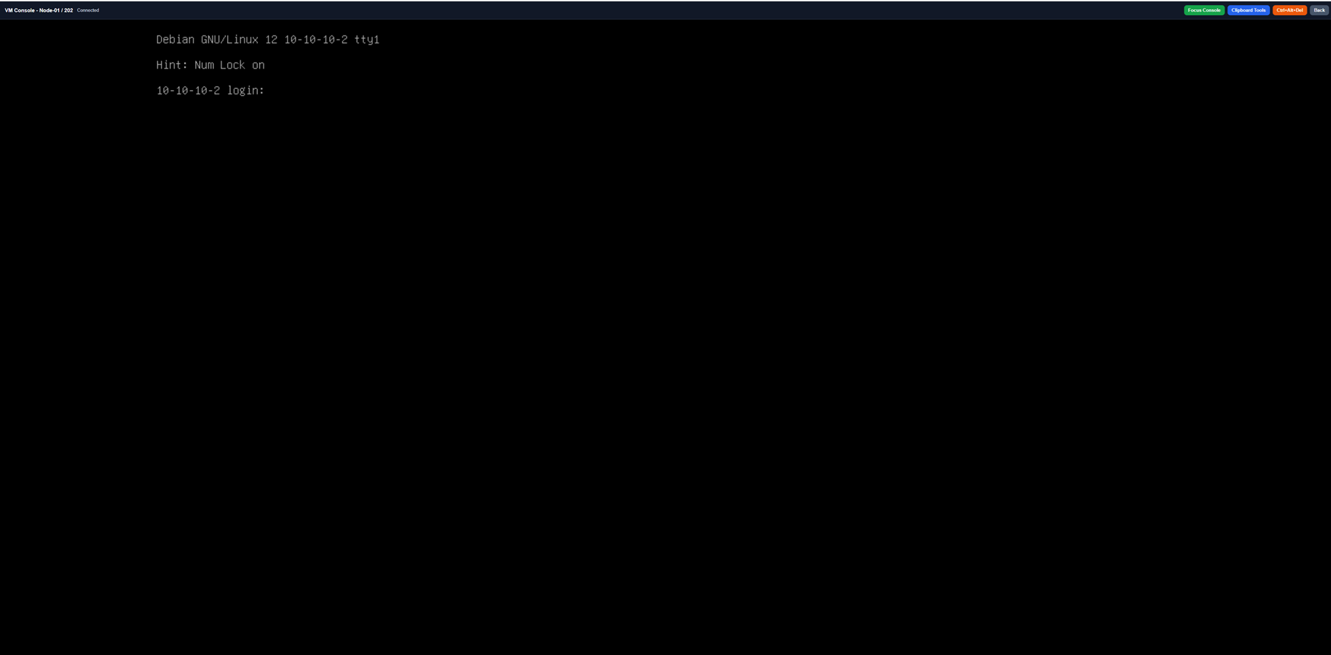 Console Access 1 screenshot from VMNexor Proxmox VPS hosting automation platform